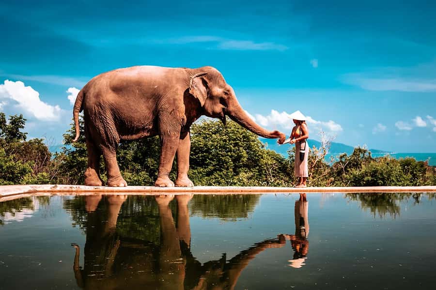Koh Samui: Private Photoshoot for Couples & Families - The main photo stop: how a viewpoint hour works for real-life families