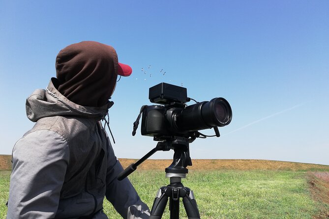 Kos Wildlife Walks: birdwatching and animal photography - Price and value: what $60.07 buys you in two hours