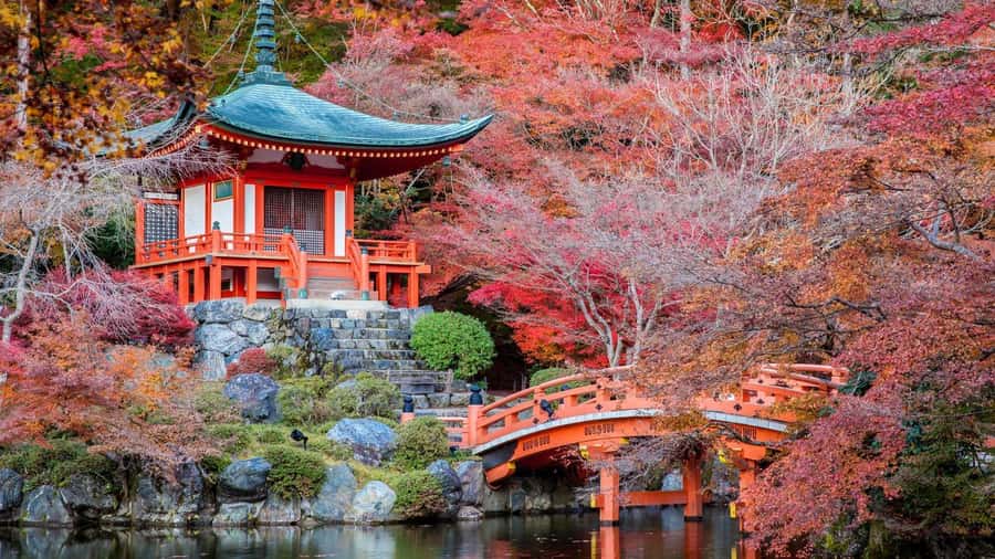 Kyoto:Private Tour/Luxury Vehicle with Guide & photographer - What the guide does beyond driving: explaining, photographing, and keeping you comfortable