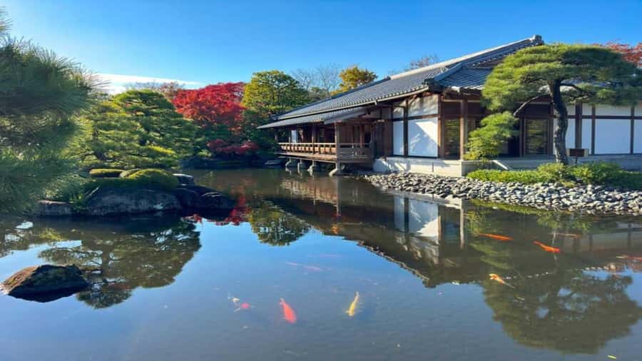 Kyoto:Private Tour/Luxury Vehicle with Guide & photographer - Who this private Kyoto tour fits best (and who should skip it)