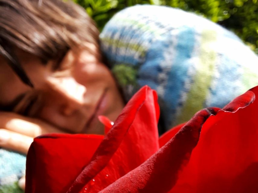 La Spezia: Cinque Terre Tour with Professional Photographer - Price and value: what $485.57 buys you
