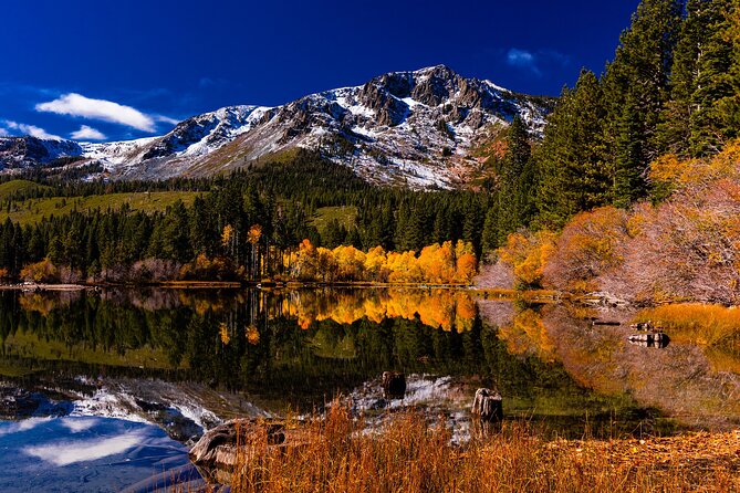 Lake Tahoe Small-Group Photography Scenic Half-Day Tour - What the tour includes—and what you must bring