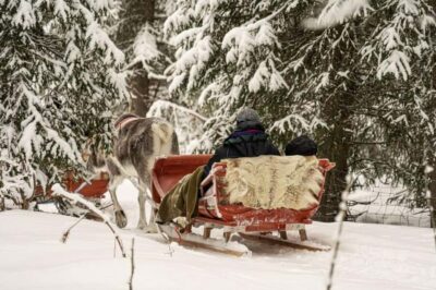 Levi: Authentic Reindeer Sled Ride with Photographer - Feeding Time and Sámi Culture by the Campfire