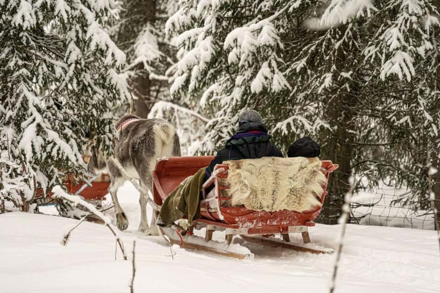 Levi: Authentic Reindeer Sled Ride with Photographer - Feeding Time and Sámi Culture by the Campfire