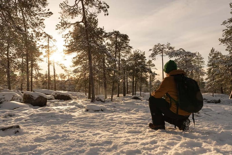 Levi: Private Photoshoot in Nature Location in Levi - Beyond Arctic: The Kind of Guidance That Improves Results