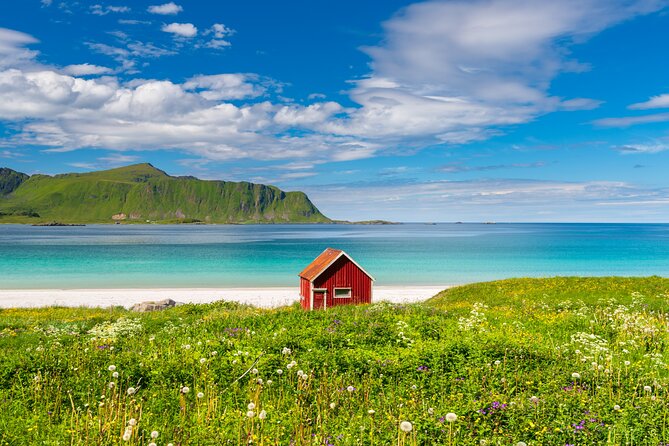 Lofoten Highlights Photo Tour - Reine, Hamnøy & Å - Key highlights worth getting excited about