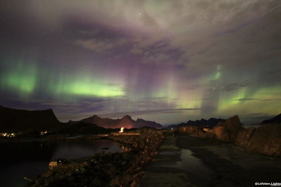 Lofoten: Northern Lights Tour with Photographer - Key highlights at a glance