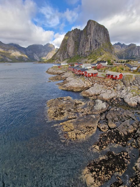 Lofoten: Reine, Hamnøy, and Skariskøya Photo Tour - Wildlife and weather: what you can hope for, and what you can control
