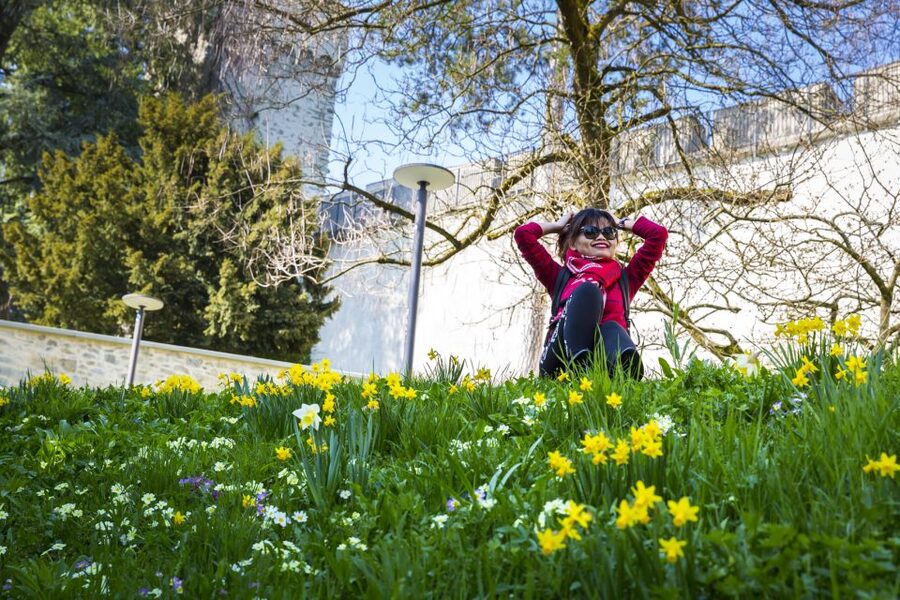 Lucerne: Photography Walking Tour - Lake Lucerne: using water and mountain backgrounds effectively
