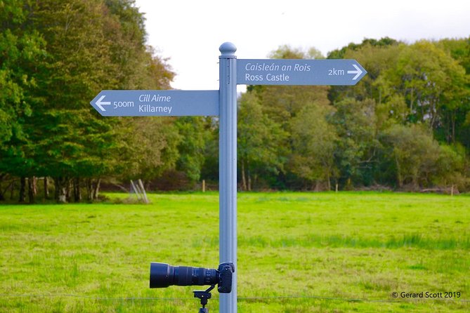 Luxury Photography Day Tour on Dingle Peninsula - Fully Guided and Chauffeured - Killarney pick-up and a 9:30 start that actually gives you daylight