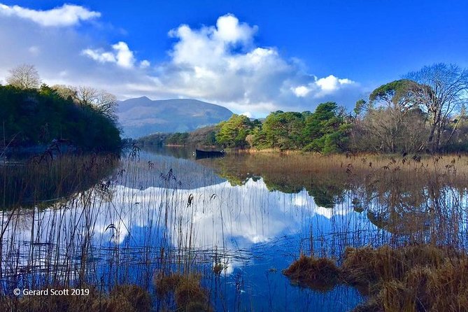 Luxury Photography Day Tour on Dingle Peninsula - Fully Guided and Chauffeured - The guide and chauffeur combo: Failte Ireland qualified, insured, and hands-on