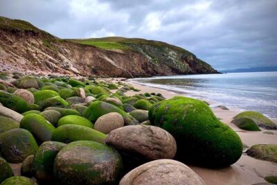 Luxury Photography Day Tour on Ring of Kerry and Skellig Ring - Fully Guided and Chauffeured - How your guide turns your interests into a shot list