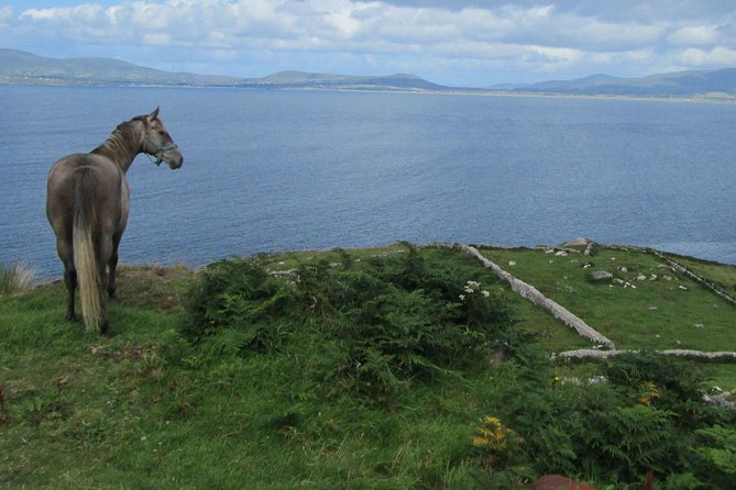Luxury Photography Day Tour on Ring of Kerry and Skellig Ring - Fully Guided and Chauffeured - What to do about food, timing, and camera gear