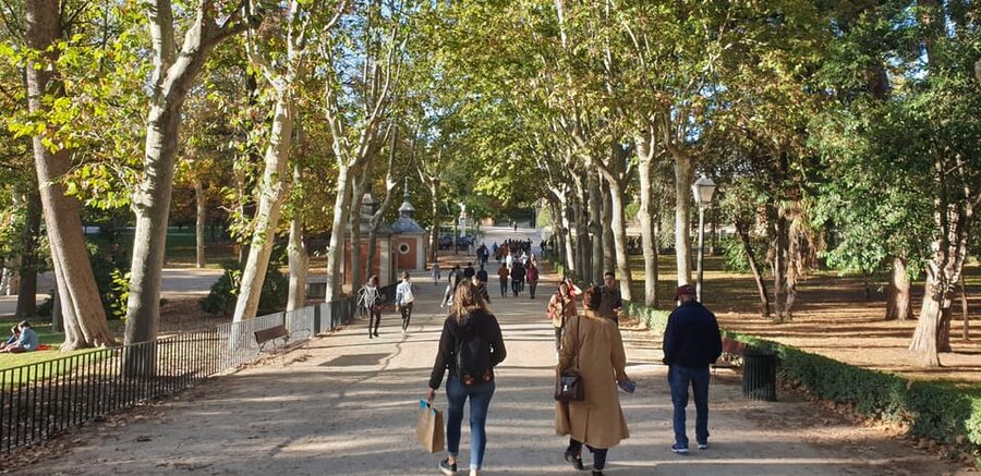 Madrid: Retiro Park Guided Tour with a Photographer - Who This Tour Fits Best (and Who Might Find It Less Fun)