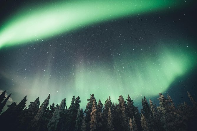 Magical Northern Lights Photography Tour Kiruna - Price and value: is $203.63 worth it?