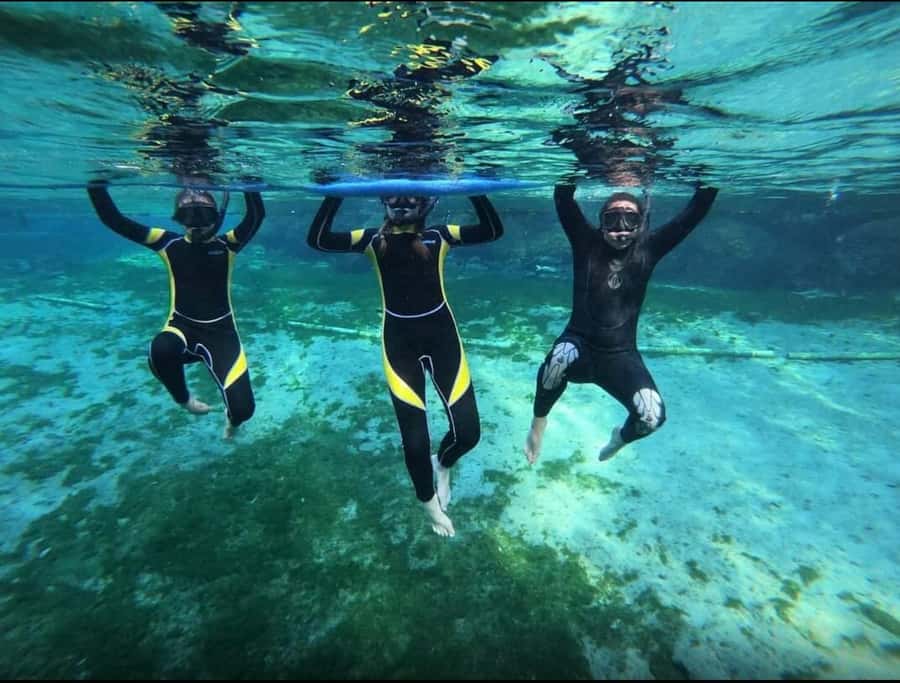 Manatee Snorkeling Tour with in water Guide and photographer - Key things to know before you go