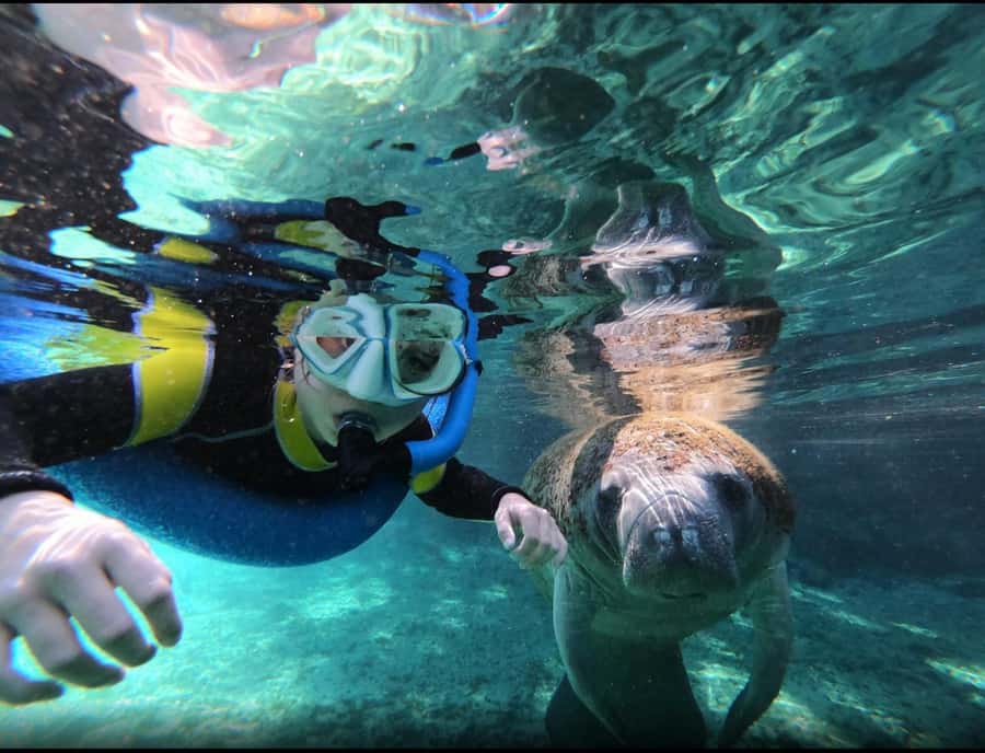 Manatee Snorkeling Tour with in water Guide and photographer - The 3-hour flow: meet, cruise, snorkel, and head back