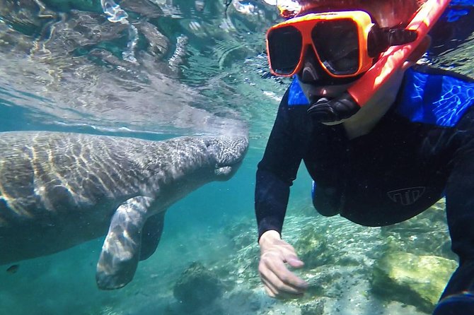 Manatee Swim Tour with In Water Photographer - Key Things I’d Focus On Before You Go