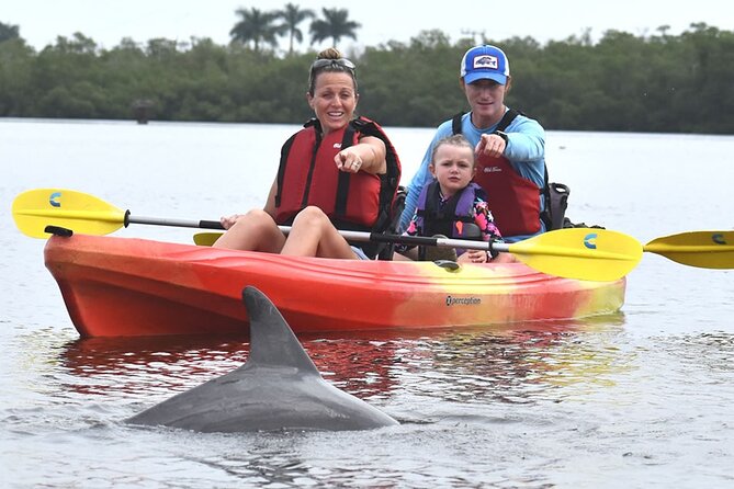 Mangrove Tunnels Kayak Tour (Photographer Included)- Marco Island - Why these Naples mangrove tunnels work so well