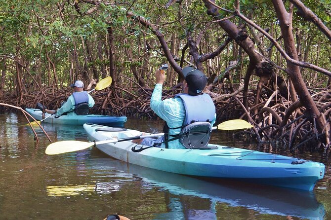 Mangrove Tunnels Kayak Tour (Photographer Included)- Marco Island - Entering the mangrove tunnels: tight turns and real paddling