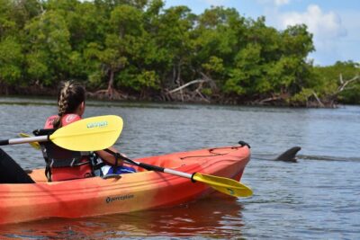Mangrove Tunnels Kayak Tour (Photographer Included)- Marco Island - What the 1 hour 50 minutes feels like in real time