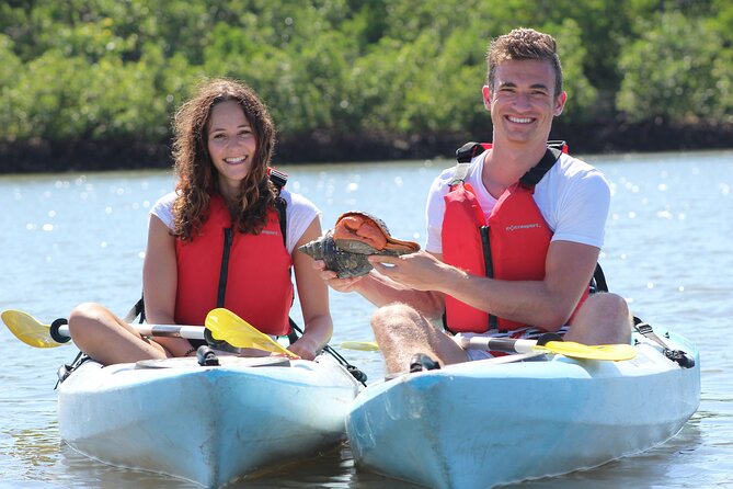 Mangrove Tunnels Kayak Tour (Photographer Included)- Marco Island - Wildlife spotting odds: what you’re most likely to see