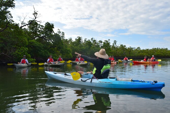 Mangrove Tunnels Kayak Tour (Photographer Included)- Marco Island - Chandler’s dad jokes and the photo drop that saves your phone