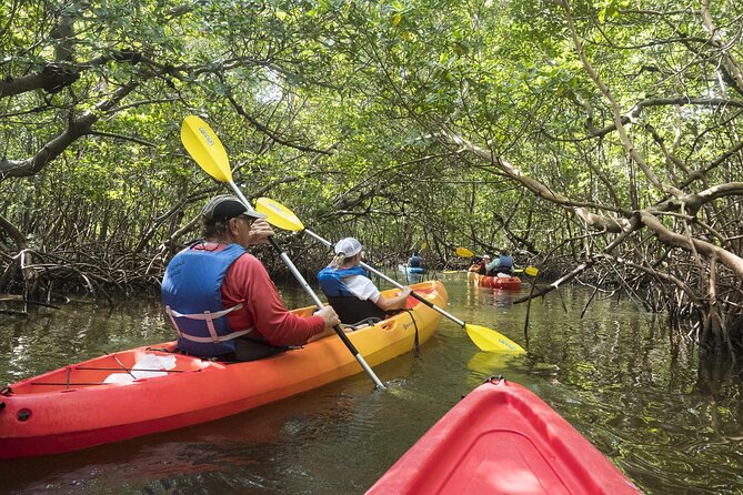 Mangrove Tunnels Kayak Tour (Photographer Included)- Marco Island - Single-seater vs tandem kayaks: choose based on age and comfort