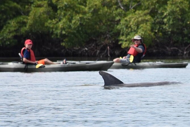 Mangrove Tunnels Kayak Tour (Photographer Included)- Marco Island - Meeting point and practical tips to avoid a soggy day