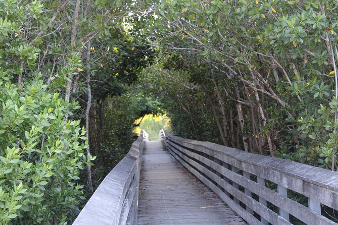 Marco Island Photography Experience - Meeting at Tigertail: What the 1-Hour Session Feels Like