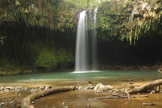 Maui part-way to Hana North Shore sightseeing & Photography Tour! - Paia pickup and a North Shore route that makes photos easier