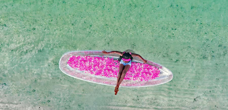 Miami/South Beach: Clear Kayak Photoshoot with Drone - Where to Meet at South Pointe Park and How to Plan Parking