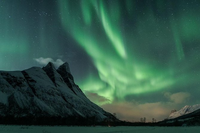 Minibus Northern Lights Chase with Photography from Tromsø - Price and value: why $242.92 can make sense here