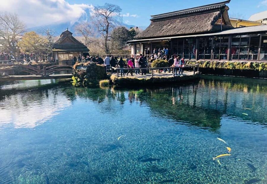 Mount Fuji 1-Day Trip: the Hottest Photography Tour - Oishi Park and Lake Kawaguchi flower timing: lavender and the rest