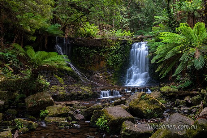 Mt Field and Styx Valley Photography Tour - Price and Value: What $222.73 Covers Well