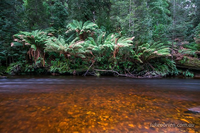 Mt Field and Styx Valley Photography Tour - Car-Free Hobart Logistics: Pickup, Meeting Point, and a Full-Day Rhythm