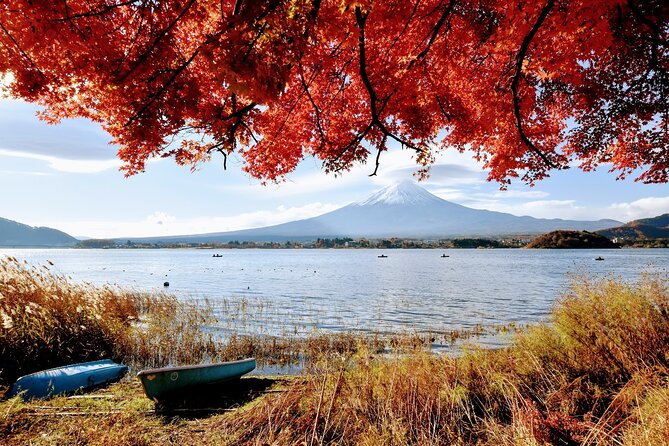 Mt Fuji Day Trip from Tokyo by Car with Photographer Guide - Stop 2: Oshino Hakkai—Super Clear Water and House Views