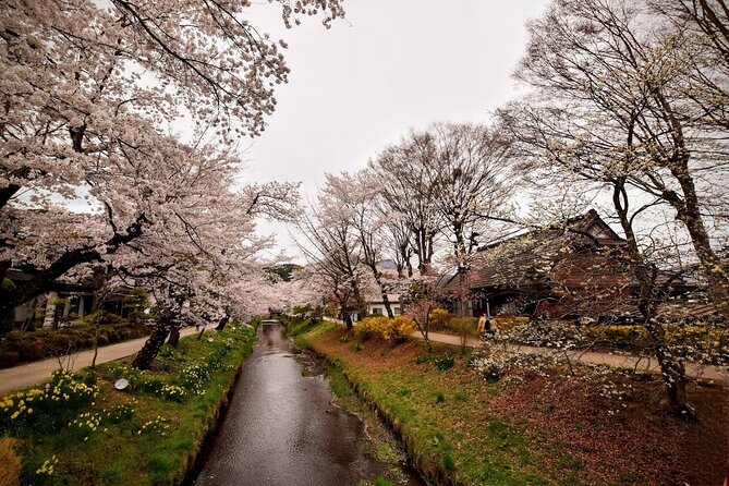 Mt Fuji Day Trip from Tokyo by Car with Photographer Guide - Comfort, Safety, and the “We Can Talk” Part of Private Touring