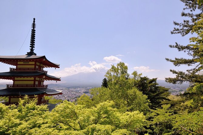 Mt Fuji Day Trip from Tokyo by Car with Photographer Guide - Stop 1: Arakurayama Sengen Park and Its 400 Steps