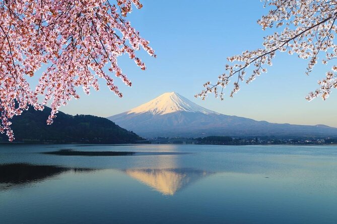 Mt Fuji, Takayama, Nagano Private Tour w Local guide/photographer - Key points worth knowing before you go