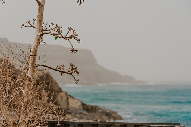 North Central Fuerteventura - Tour with photo shoot - Who this tour fits best
