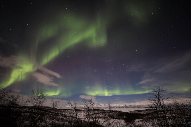 Northern Light Photo tour - Meeting Points, Timing, and Getting There Without Stress