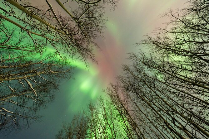 Northern Lights Aurora Chasing Adventure Tour & Free Photography - Value check: what feels worth it here