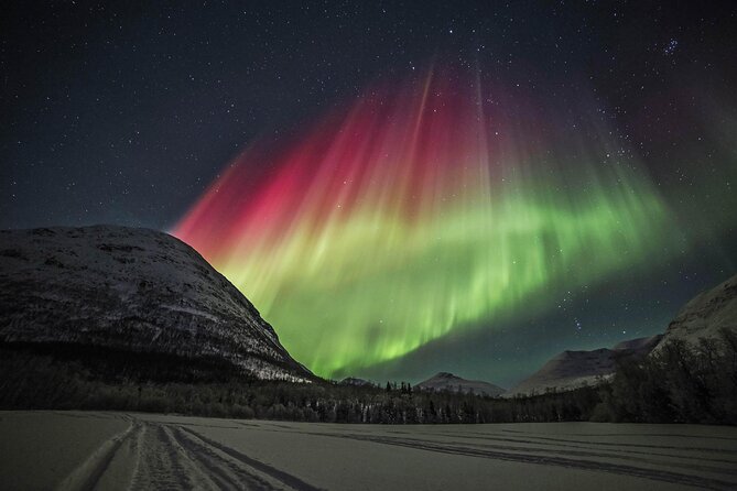 Northern Lights Chase with Photography from Tromsø - Tromsø Meet-Up at Roald Amundsens plass: How the Night Starts