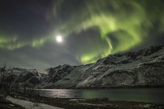 Northern Lights Chase with Photography from Tromsø - Group Size, Crowds, and the Risk of Flashlight Noise
