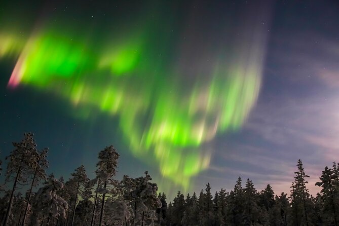 Northern Lights Hunting Photo Tour in Levi - Meeting in Sirkka: where the night starts
