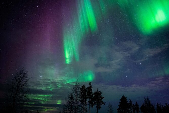 Northern Lights Hunting Photography Tour in Levi - Levi Is a Great Base for Aurora Night Photo Missions