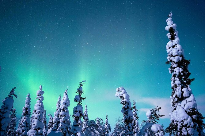 Northern Lights Hunting Photography Tour in Levi - Price and What You’re Really Paying For ($147.69)