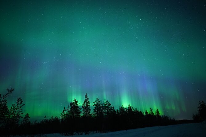Northern Lights Hunting Photography Tour in Rovaniemi Finland - Key things that make this tour worth your attention