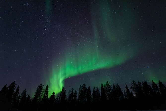 Northern Lights Hunting with a photographer (Only small groups) - Key highlights worth your attention